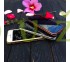 Kryt Crystal 2 v 1 iPhone 5/5S/SE